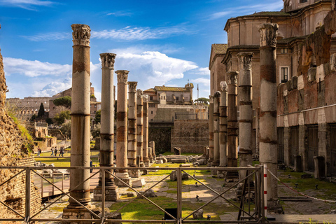 Rome: Colosseum, Forum & Palatine Hill Guided Tour 7 People