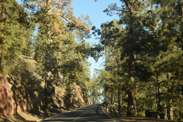 Tenerife : excursion en quad au coucher du soleil dans le parc national du Teide2 personnes sur 1 quad (double)