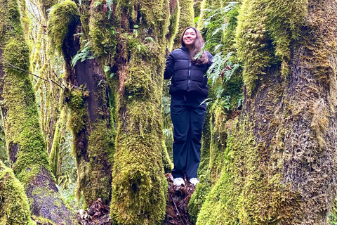 Seattle: Rainforest and Olympic National Park Highlights Olympic National Park: Rainforest, Beach, and highlights