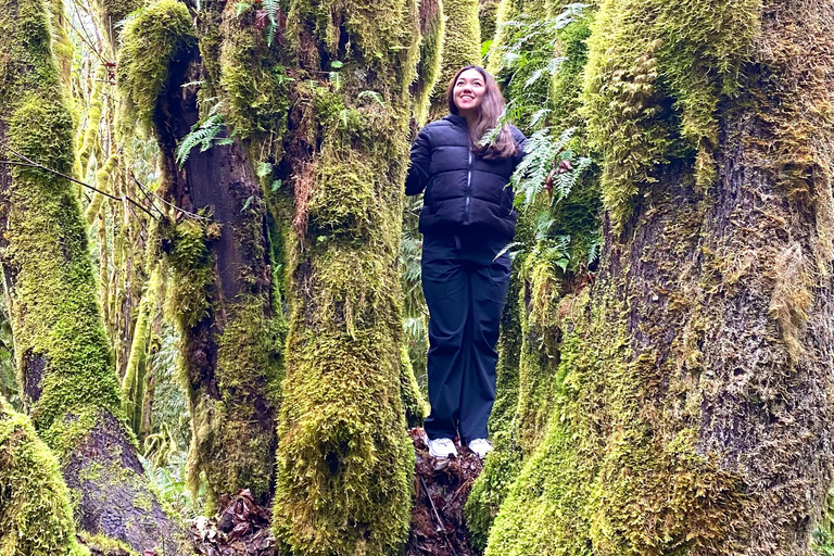 Seattle: Rainforest and Olympic National Park Highlights Olympic National Park: Rainforest, Beach, and highlights