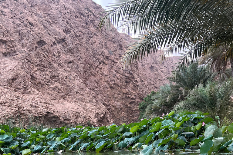 Muscat: Wadi Shab Hike and Bimmah Sinkhole Tour with Lunch Muscat: Wadi Shab Hike and Bimmah Sinkhole Tour with Lunch