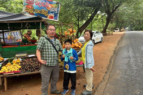 Tour della città di Kandy in giornata da Colombo, Negombo o Katunayake