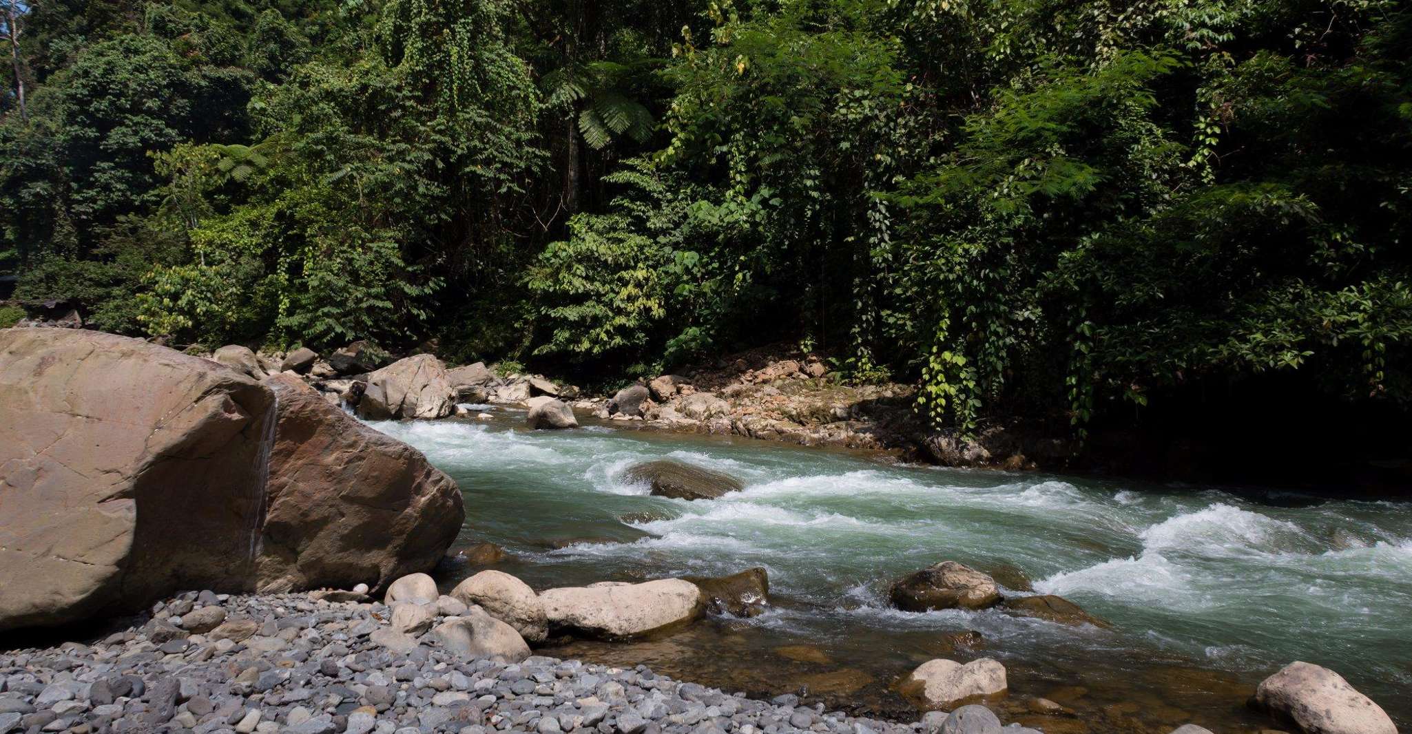 2 Days 1 Night Orangutan Trek Bukit Lawang - Housity