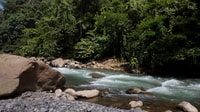 2 giorni 1 notte Orangutan Trek Bukit Lawang - Housity