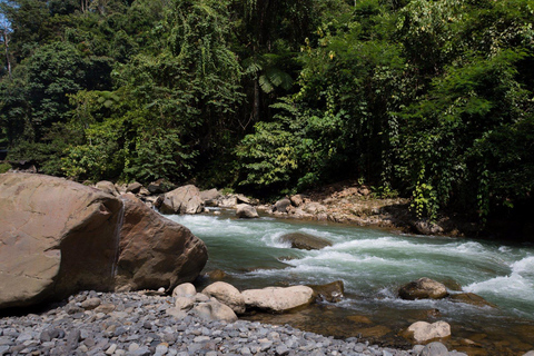 2 giorni e 1 notte di Orangutan Trek Bukit Lawang