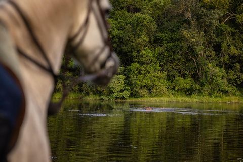 Ochtendrit te paard bij Dolly Estate: Wilde dieren &amp; prachtig uitzicht