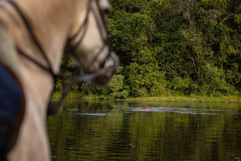 Passeio a cavalo pela manhã em Dolly Estate: Vida selvagem e vistas panorâmicas