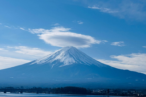 Tokyo: Private Daytrip to Mount Fuji - Fully Customizable Mt Fuji Private Luxury Van Tour (Customizable Experience)