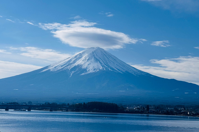 Tokyo: Private Daytrip to Mount Fuji - Fully Customizable Mt Fuji Private Luxury Van Tour (Customizable Experience)