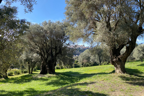 Nice: tour of three iconic villas in saint-jean-cap-ferrat