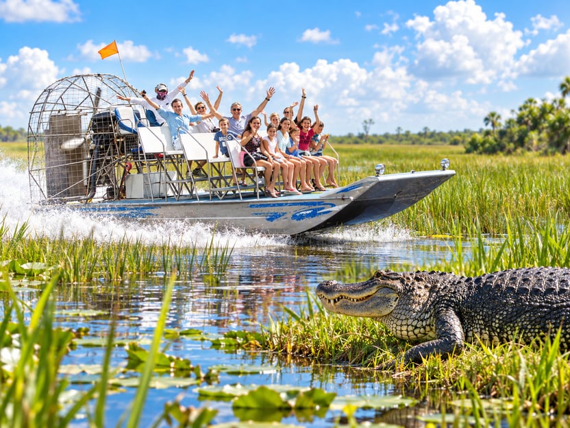 Miami: Everglades légcsavaros csónak, vadvilági kiállítási tárgyak és oda-vissza busz