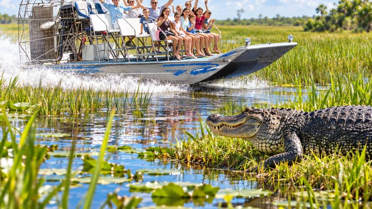 Best Activities in Florida