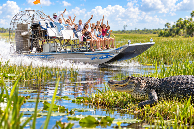 Miami: tour in airboat delle Everglades, mostra sulla fauna selvatica e bus A/R