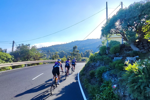 La Palma : découvrez le sud de l&#039;île à vélo de courseLa Palma : découvrez le sud de l&#039;île en vélo de route