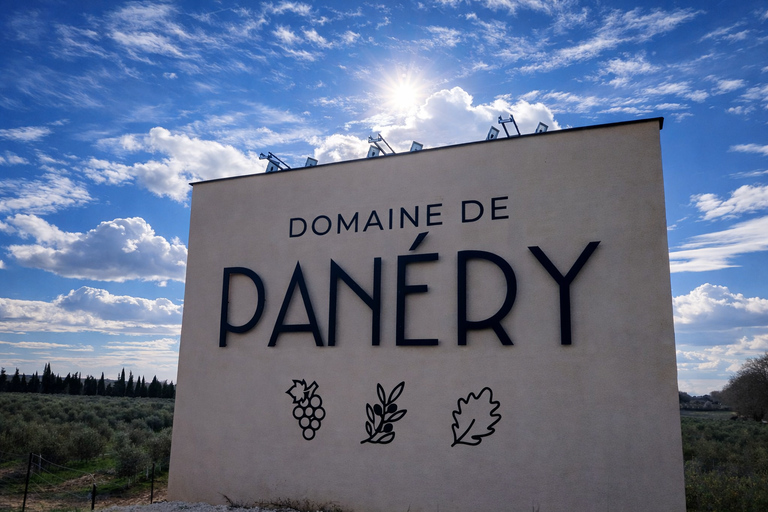 Avignon: Pont du Gard Vineyards, Wine Tasting, Heritage Tour