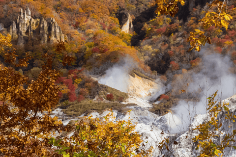 Tour privato della scimmia delle nevi e delle sorgenti termali naturali!Servizio di prelievo e rientro nei dintorni di Nagano