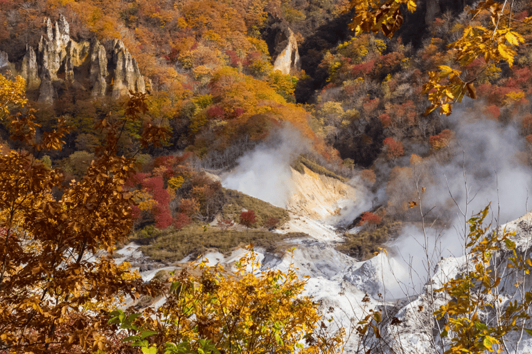 Snow Monkey &amp; Natural Hot Spring Retreat Privat tur!Upphämtning och avlämning runt Nagano