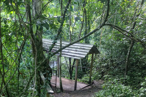 Puerto Rico: Gozalandia River Hiking and Waterfall Tour