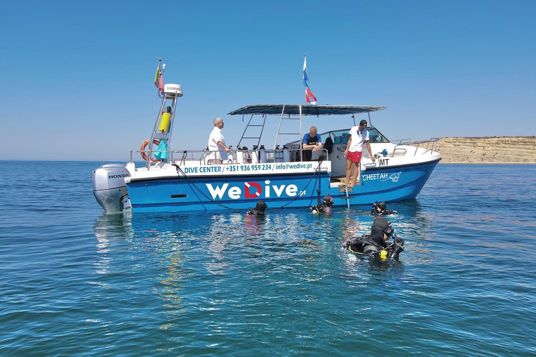 Lagos: Esperienza di immersione subacquea per principianti