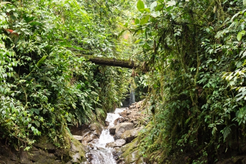 Quito-Mindo: wycieczka 7 wodospadami, ogród motyli, wycieczka quadem