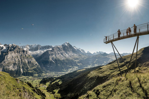 Da Zurigo: Prima funivia di Grindelwald e Interlaken