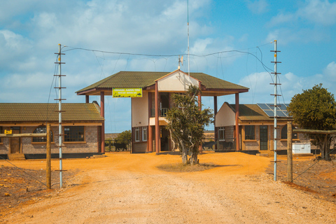 From Diani Beach or Mombasa: 2-Day Tsavo East Safari