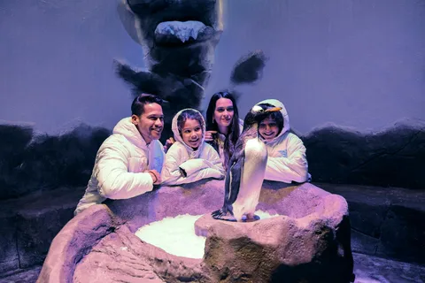 ドバイ水族館ペンギン・エンカウンター付き入館券