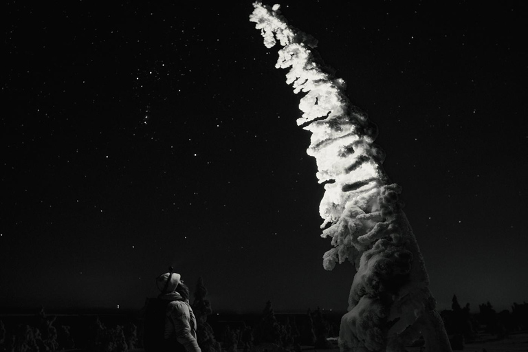 Rovaniemi: Nachtfotografie-Tour im Riisitunturi-Nationalpark