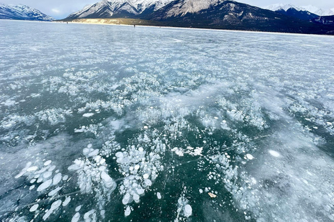 Banff: Banff &amp; Yoho National Park Lakes and Gondola Tour