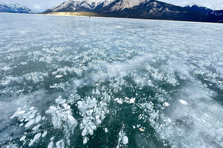 Banff: Banff &amp; Yoho National Park Lakes and Gondola Tour