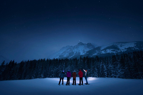 Banff/Canmore: PRIVATE Stargazing & Northern Lights Tour