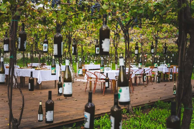 From Durrës: Wine Tasting at Alpeta Winery in Berat