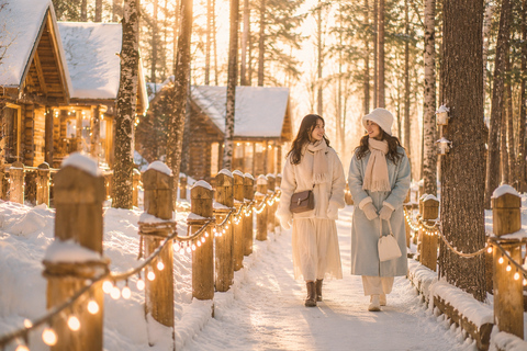 From Sapporo: Snow Fun, Shirahige Falls & Ningle Terrace