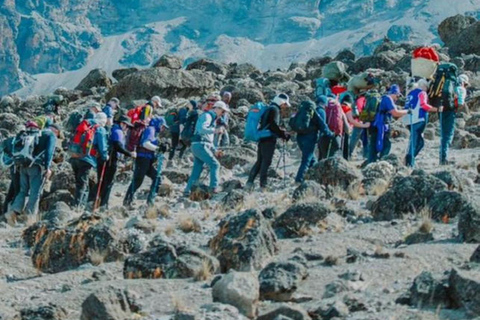 Tanzania: 6Day Kilimanjaro climb Machame route Private Treks