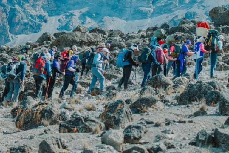 Tanzania: 6Day Kilimanjaro climb Machame route Private Treks