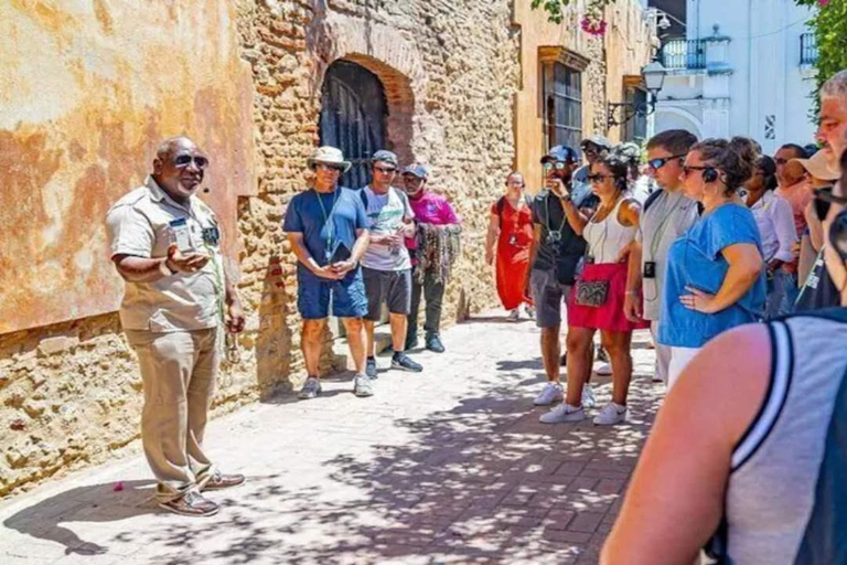 Private: Santo Domingo Day Trip with Lunch & Drinks
