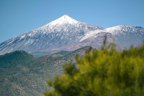 Naviguez aux Canaries : Nature, culture et plaisirs culinaires