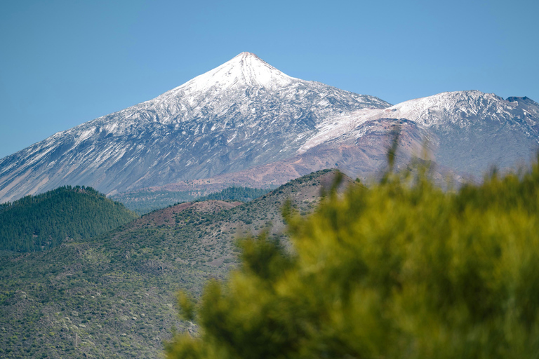 Naviguez aux Canaries : Nature, culture et plaisirs culinaires