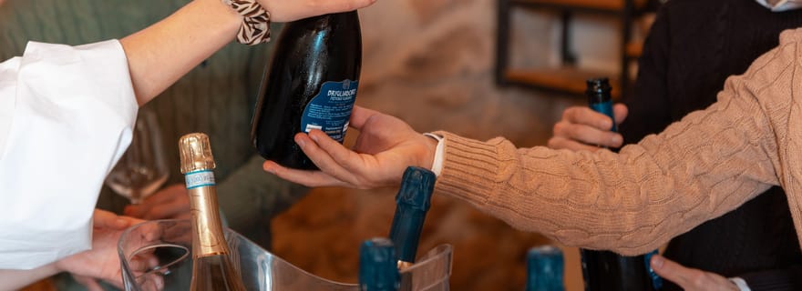 Expérience œnologique parmi les caroubiers centenaires de Mazara del Vallo