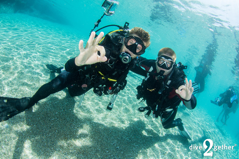 Experiencia de buceo de medio día - no se necesita experiencia