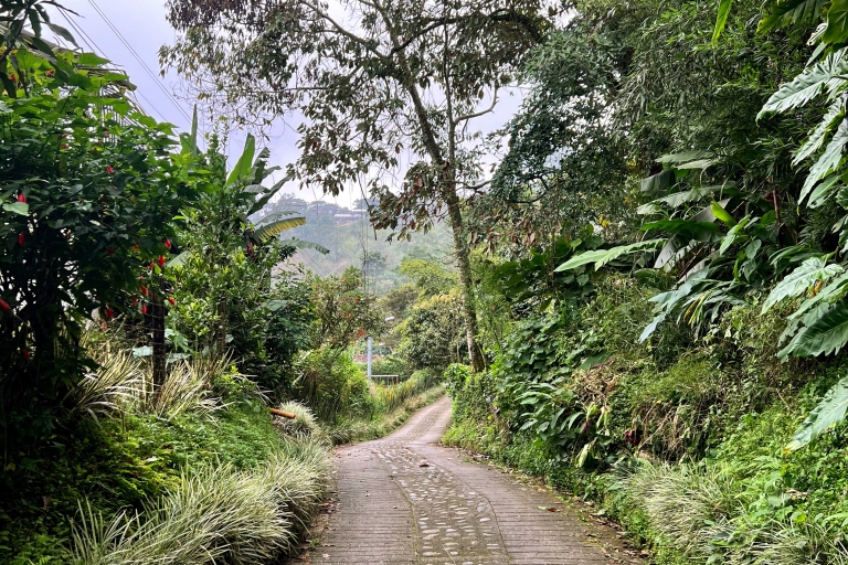 Desde Medellín: Ruta en bicicleta de montaña (Ebike), Ruta de aventura
