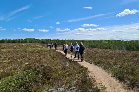 Kõrvemaa Nature Reserve Self-Guided Hike with Transfer