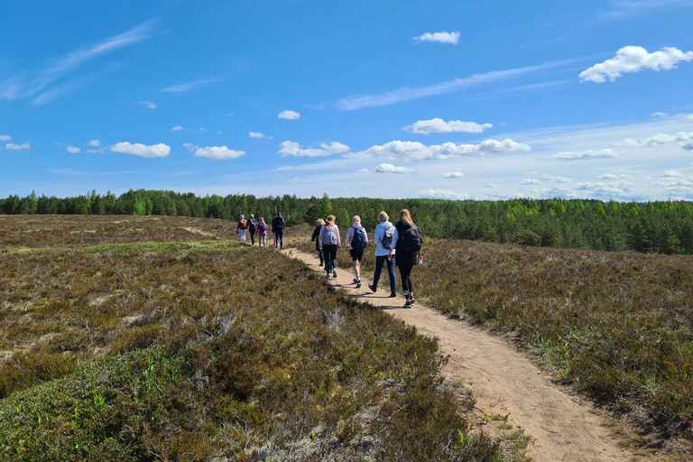 Kõrvemaa Nature Reserve Self-Guided Hike with Transfer