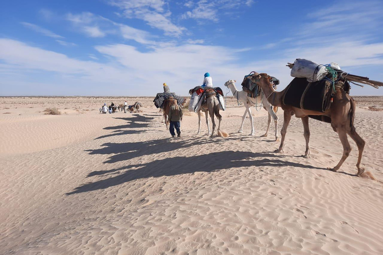 Camel Ride in Bir Abdallah ( Ksar Ghilan )