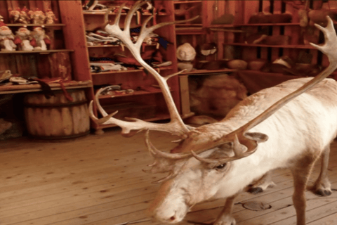 Honningsvåg: North Cape Tour with Reindeer & Sami Family