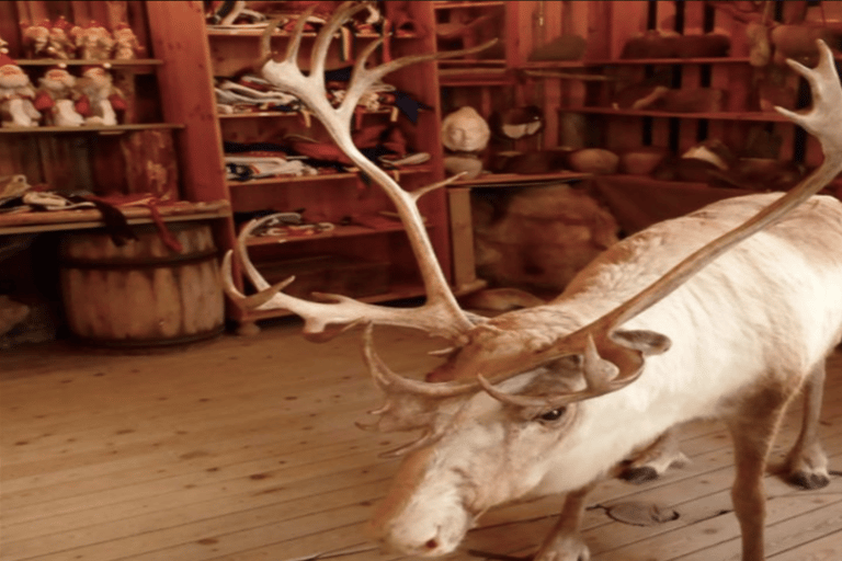 Honningsvåg: North Cape Tour with Reindeer & Sami Family