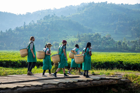2-dniowa wycieczka kawowa nad jezioro Kivu2 dni od ziarna do filiżanki – kawa z jeziora Kivu