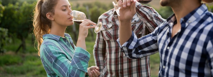 Fribourg : Veni, vidi, vino - randonnée et dégustation de vins