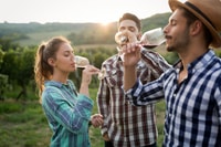 Freiburg, Veni, Vidi, Vino - Randonnée en vin et dégustation - Housity