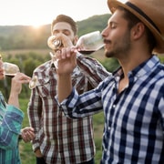 Freiburg: Veni, vidi, vino - wine hike and tasting